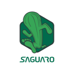Saguaro Shoes